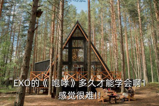 EXO的《 咆哮》多久才能学会啊1感觉很难!!