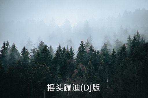 摇头蹦迪(DJ版
