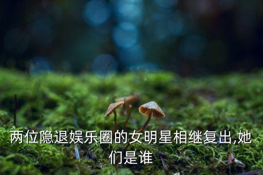 王小燕的舞蹈,东北王小燕舞蹈小辣椒