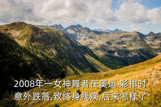 2008年一女神舞者在奥运 彩排时意外跌落,致终身残疾,后来怎样了