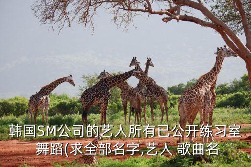韩国SM公司的艺人所有已公开练习室 舞蹈(求全部名字,艺人 歌曲名