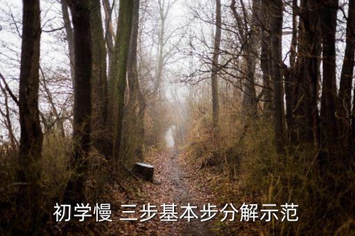 初学慢 三步基本步分解示范
