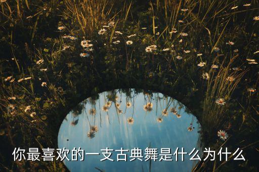 你最喜欢的一支古典舞是什么为什么