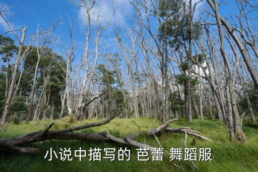 芭蕾舞蹈服哪个牌子好