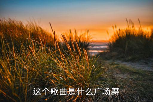 这个歌曲是什么广场舞