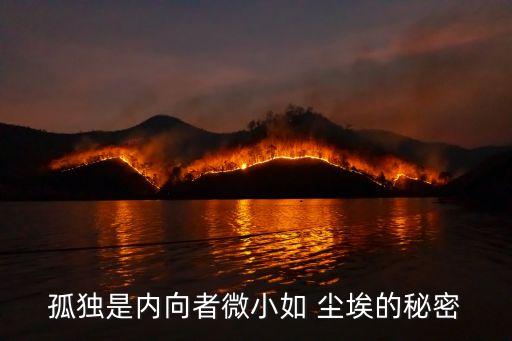 尘埃舞蹈慢动作,裂缝中的尘埃舞蹈观后感