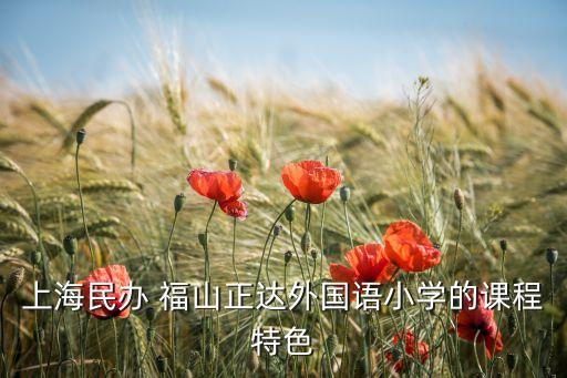 上海民办 福山正达外国语小学的课程特色