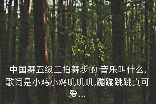 中国舞五级二拍舞步的 音乐叫什么,歌词是小鸡小鸡叽叽叽,蹦蹦跳跳真可爱...