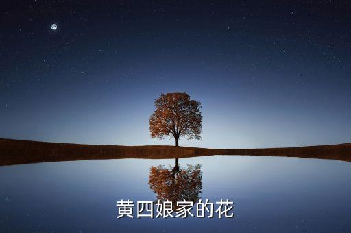 黄四娘家的花