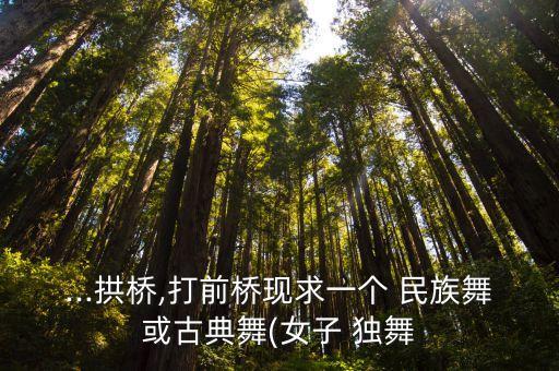 民族舞蹈专业视频独舞,三分钟民族舞蹈视频大全独舞
