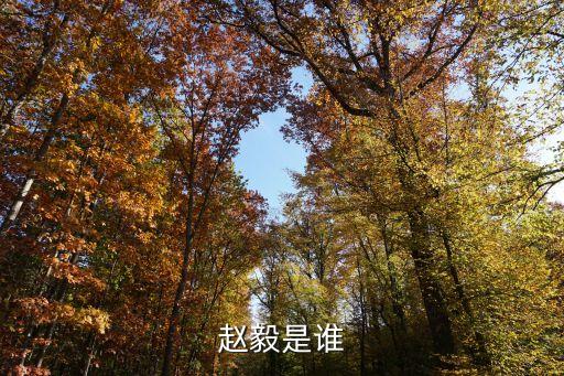 美好时光 舞蹈