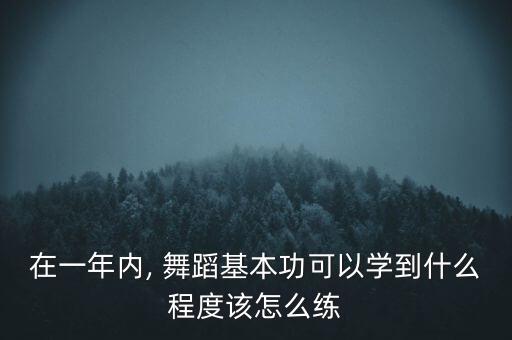 在一年内, 舞蹈基本功可以学到什么程度该怎么练