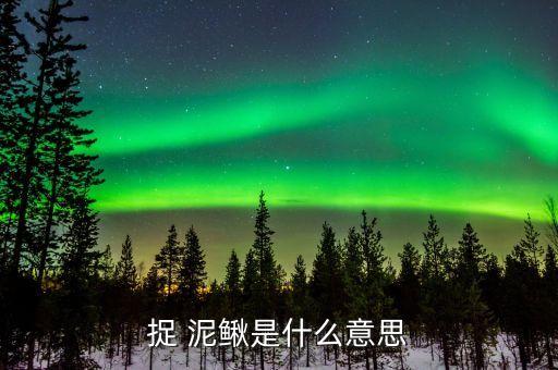捉 泥鳅是什么意思