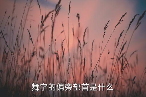 舞字的偏旁部首是什么