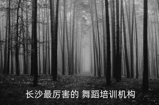  长沙最厉害的 舞蹈培训机构