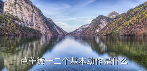  芭蕾舞十二个基本动作是什么