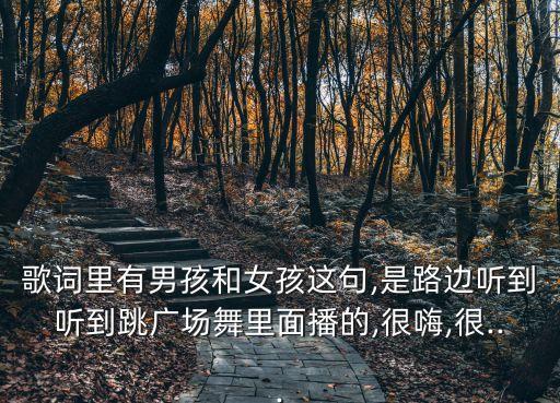 歌词里有男孩和女孩这句,是路边听到听到跳广场舞里面播的,很嗨,很...