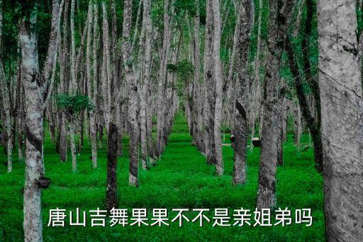 唐山吉舞果果不不是亲姐弟吗