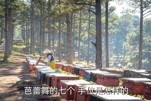 芭蕾舞蹈手位有哪几个