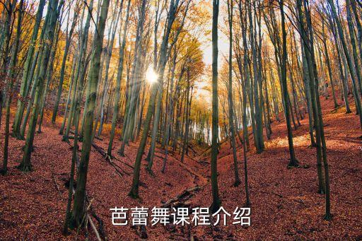 芭蕾舞课程介绍