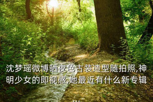 沈梦瑶微博晒夜色古装造型随拍照,神明少女的即视感,她最近有什么新专辑...
