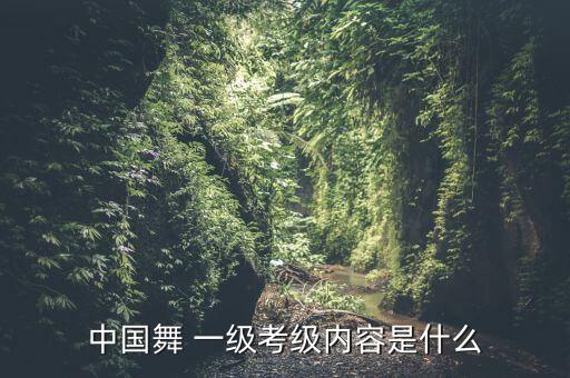 走步一级舞蹈视频,手指走步的舞蹈视频