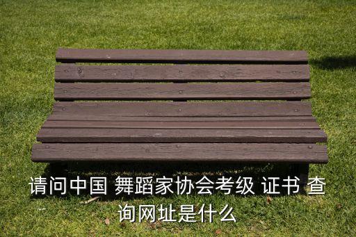 请问中国 舞蹈家协会考级 证书 查询网址是什么