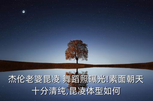 结婚照舞蹈动作
