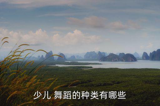 儿童舞蹈网站