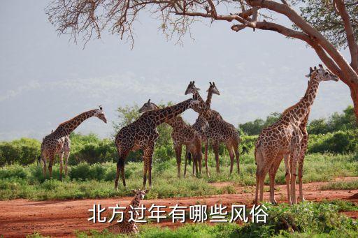 北方过年有哪些风俗