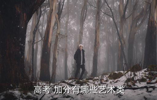  高考 加分有哪些艺术类