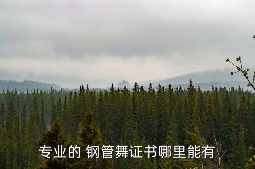 专业的 钢管舞证书哪里能有