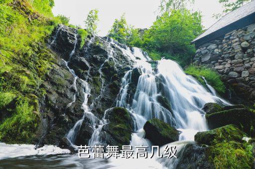 四级所有舞蹈,华彩考级四级所有舞蹈
