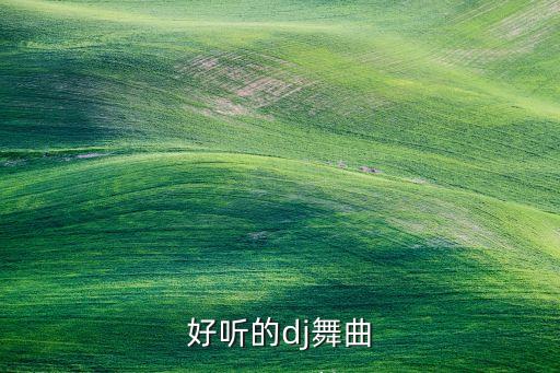 好听的dj舞曲