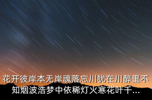 花开彼岸本无岸魂落忘川犹在川醉里不知烟波浩梦中依稀灯火寒花叶千...