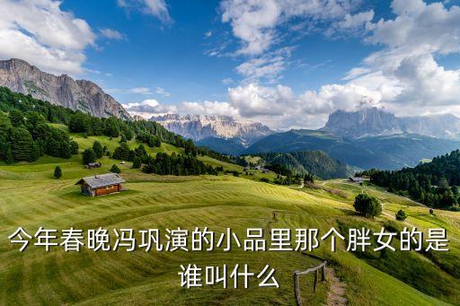 今年春晚冯巩演的小品里那个胖女的是谁叫什么