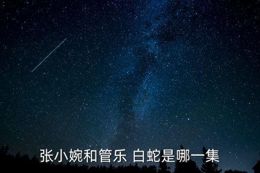 张小婉和管乐 白蛇是哪一集