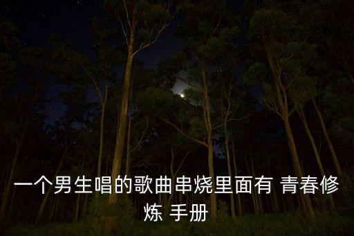 一个男生唱的歌曲串烧里面有 青春修炼 手册