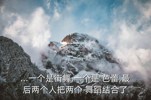 ...一个是街舞,一个是 芭蕾,最后两个人把两个 舞蹈结合了