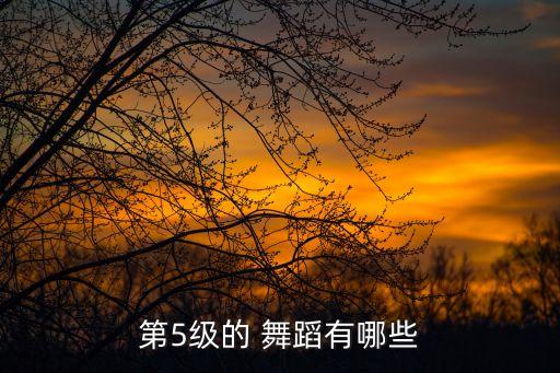 第5级的 舞蹈有哪些