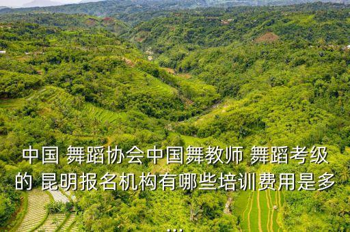 中国 舞蹈协会中国舞教师 舞蹈考级的 昆明报名机构有哪些培训费用是多...