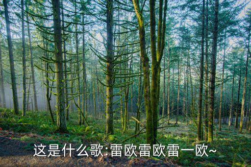 这是什么歌:雷欧雷欧雷一欧~