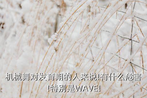机械舞对发育期的人来说!有什么危害!特别是WAVE!