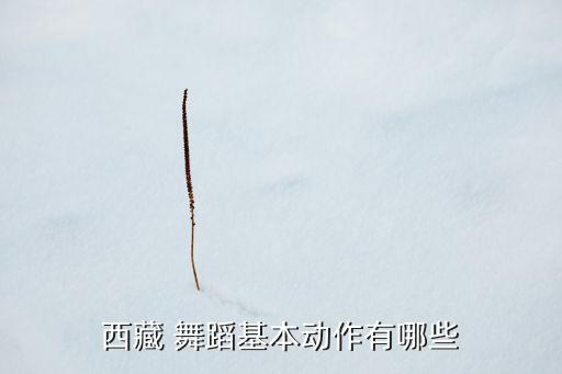 西藏 舞蹈基本动作有哪些