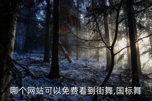 哪个网站可以免费看到街舞,国标舞
