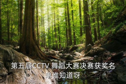 孙科舞蹈《半壶沙》