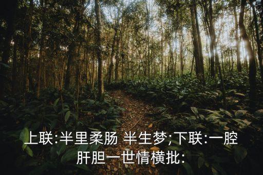 上联:半里柔肠 半生梦;下联:一腔肝胆一世情横批: