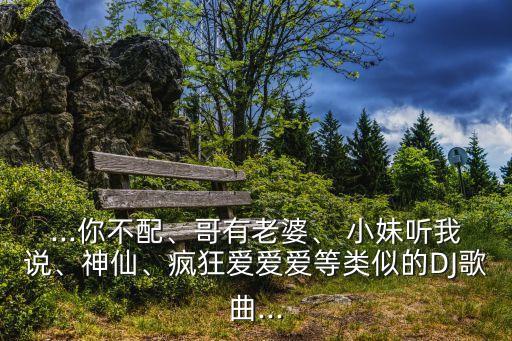...你不配、哥有老婆、 小妹听我说、神仙、疯狂爱爱爱等类似的DJ歌曲...
