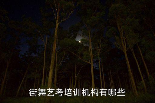 学少儿爵士舞蹈培训班,1234少儿爵士舞蹈完整版