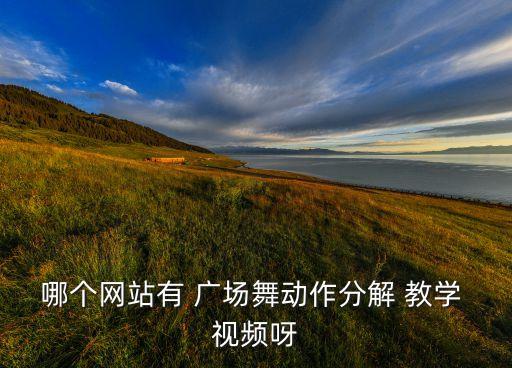 哪个网站有 广场舞动作分解 教学 视频呀